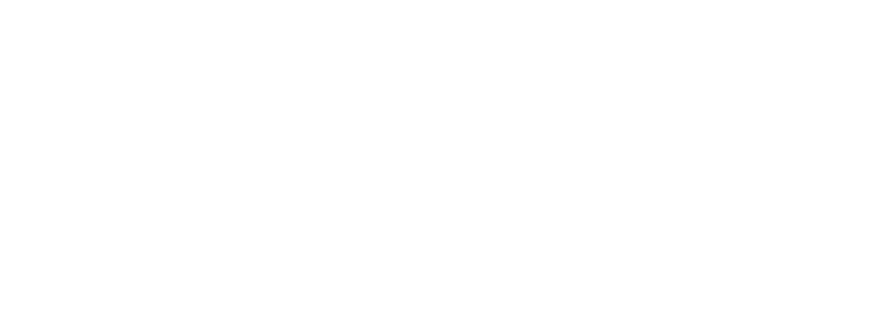 brands ducati