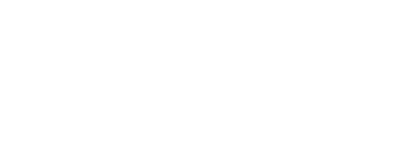 brands suzuki