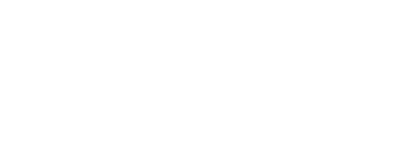 brands triumph